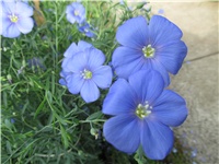 ba84ead5-Picture 637.jpg